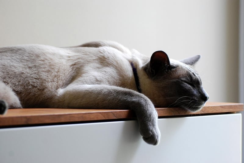 Rest for Recovery